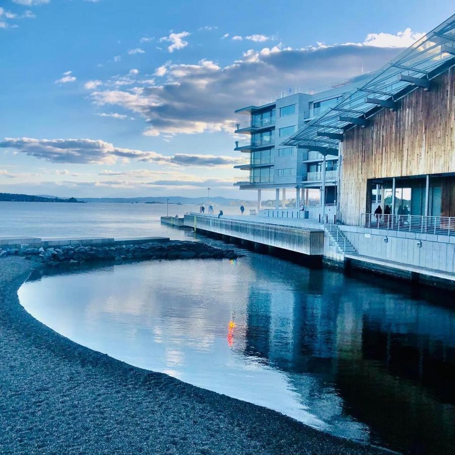 Exclusive Apartment, Sea View To Oslo Fjord, Located On Water In Oslo Center Экстерьер фото